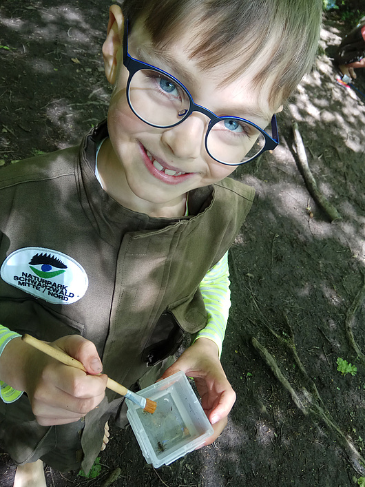 Einer betrachtet die kleinen Insekten.